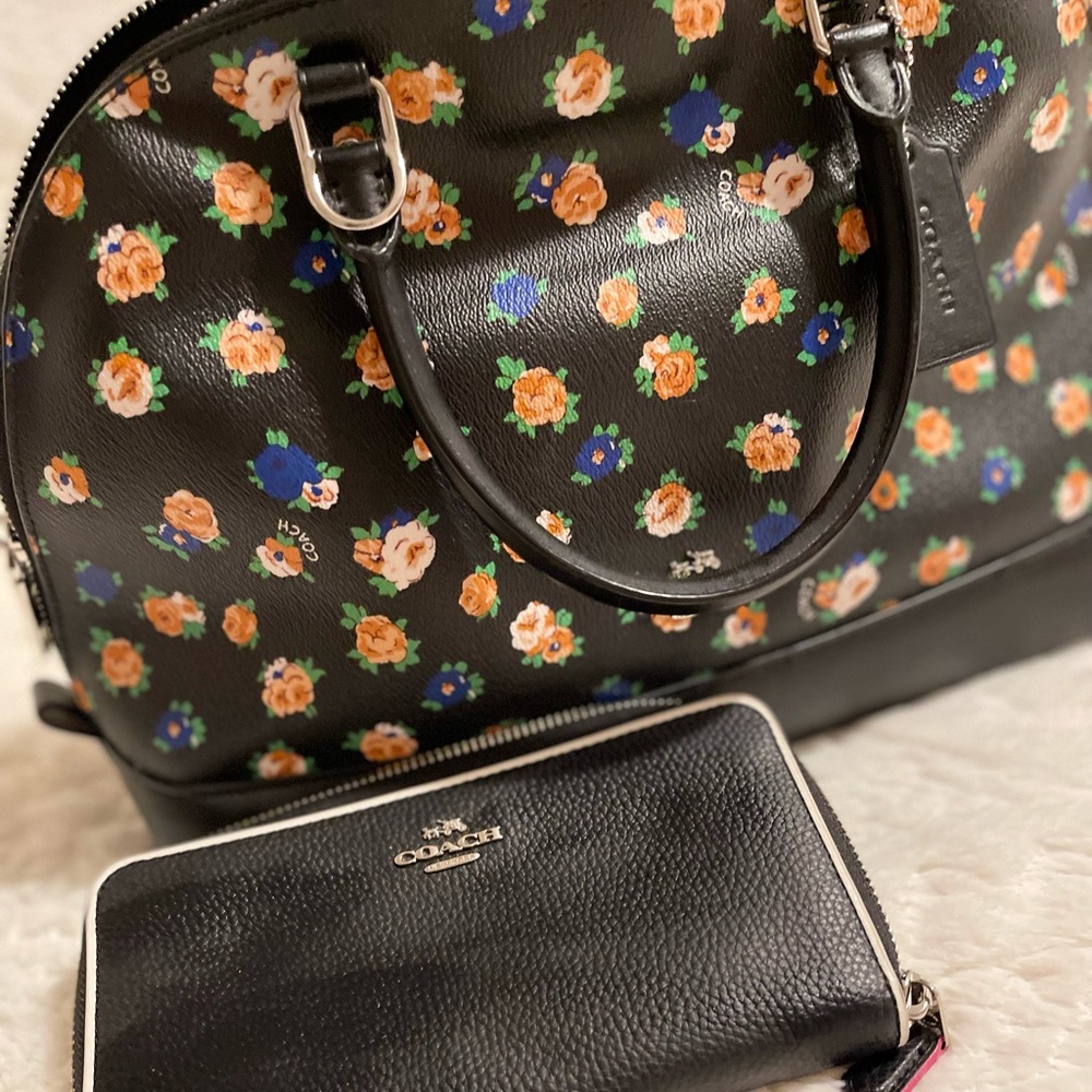 Coach Handbag and Wallet